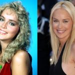 Sharon Stone Plastic Surgery Before and After 150x150