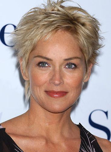 Sharon Stone Plastic Surgery: A Good Idea?